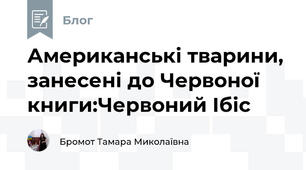Американські тварини, занесені до Червоної книги:Червоний Ібіс