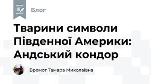 Тварини символи Південної Америки: Андський кондор