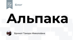 Альпака