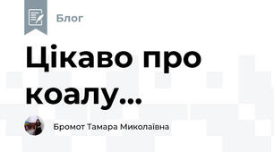Цікаво про коалу...