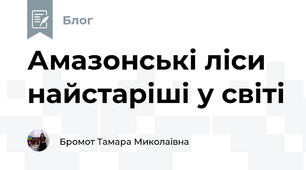 Амазонські ліси найстаріші у світі