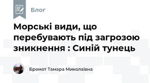 Морські види, що перебувають під загрозою зникнення : Синій тунець