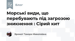 Морські види, що перебувають під загрозою зникнення : Сірий кит