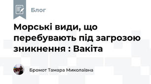 Морські види, що перебувають під загрозою зникнення : Вакіта