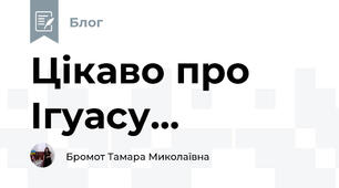 Цікаво про Ігуасу...