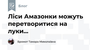 Ліси Амазонки можуть перетворитися на луки...
