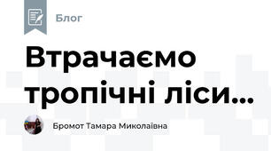 Втрачаємо тропічні ліси...