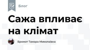 Сажа впливає на клімат