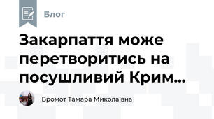 Закарпаття може перетворитись на посушливий Крим...