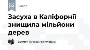 Засуха в Каліфорнії знищила мільйони дерев