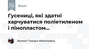 Гусениці, які здатні харчуватися поліетиленом і пінопластом...