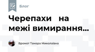 Черепахи   на межі вимирання...