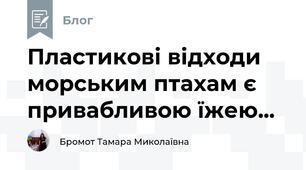 Пластикові відходи морським птахам є привабливою їжею...