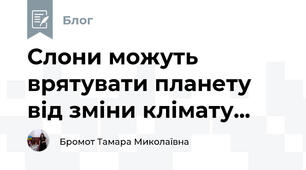 Слони можуть врятувати планету від зміни клімату...