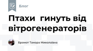 Птахи  гинуть від вітрогенераторів