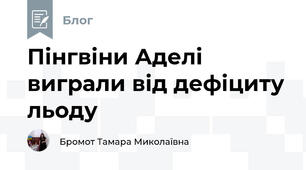 Пінгвіни Аделі виграли від дефіциту льоду