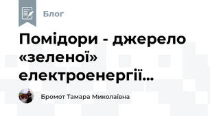 Помідори - джерело «зеленої» електроенергії...