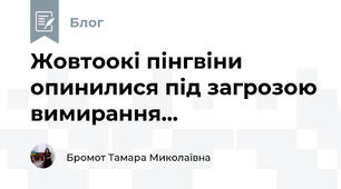 Жовтоокі пінгвіни опинилися під загрозою вимирання...