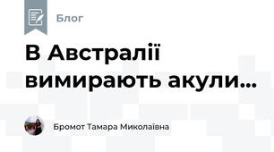 В Австралії  вимирають акули...