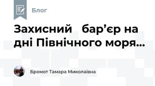 Захисний   бар’єр на дні Північного моря...