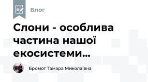 Слони - особлива частина нашої екосистеми...