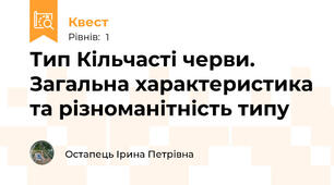 Тип Кільчасті черви. Загальна характеристика та різноманітність типу