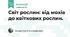 Світ рослин: від мохів до квіткових рослин. 