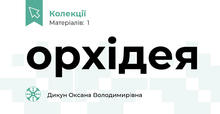 орхідея