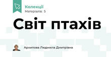 Світ птахів