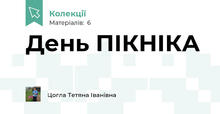 День ПІКНІКА