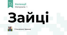 Зайці