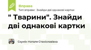 " Тварини". Знайди дві однакові картки