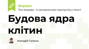 Будова ядра клітин