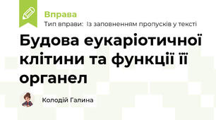 Будова еукаріотичної клітини та функції її органел