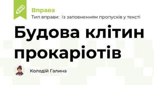 Будова клітин прокаріотів