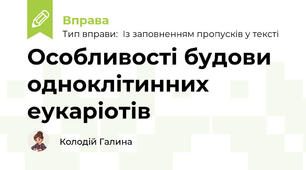Особливості будови одноклітинних еукаріотів