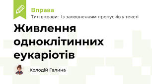 Живлення одноклітинних еукаріотів
