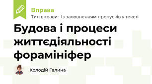 Будова і процеси життєдіяльності форамініфер