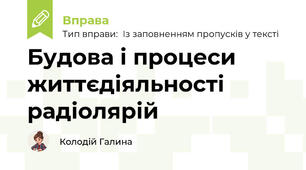 Будова і процеси життєдіяльності радіолярій