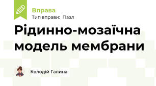 Рідинно-мозаїчна модель мембрани
