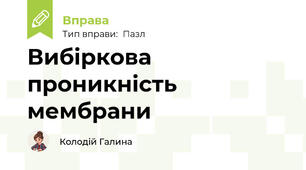 Вибіркова проникність мембрани