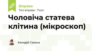 Чоловіча статева клітина (мікроскоп)