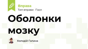 Оболонки мозку