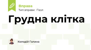 Грудна клітка