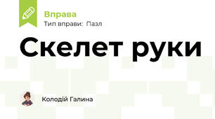 Скелет руки