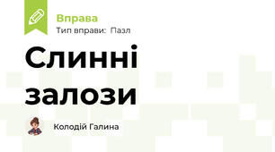 Слинні залози