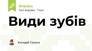 Види зубів