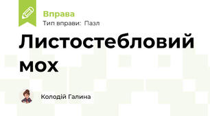 Листостебловий мох