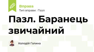 Пазл. Баранець звичайний