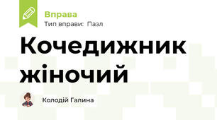 Кочедижник жіночий